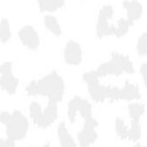 Meet your Posher, Kadyn